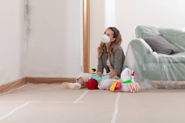 Reliable Black Mold Removal contractor in Seaboard, NC by WQB Mold Removal